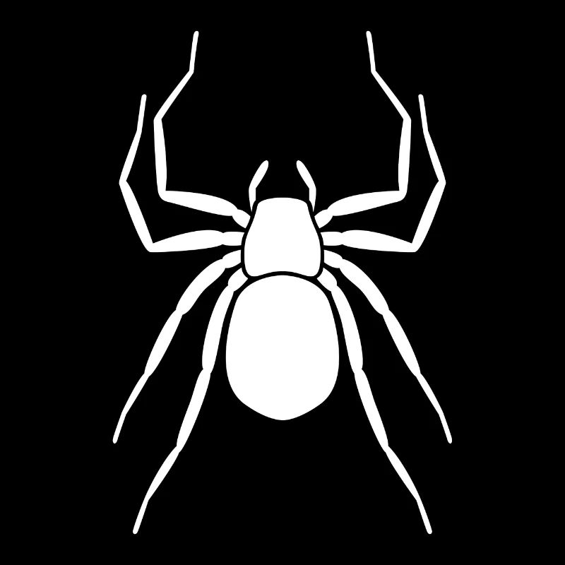 spider