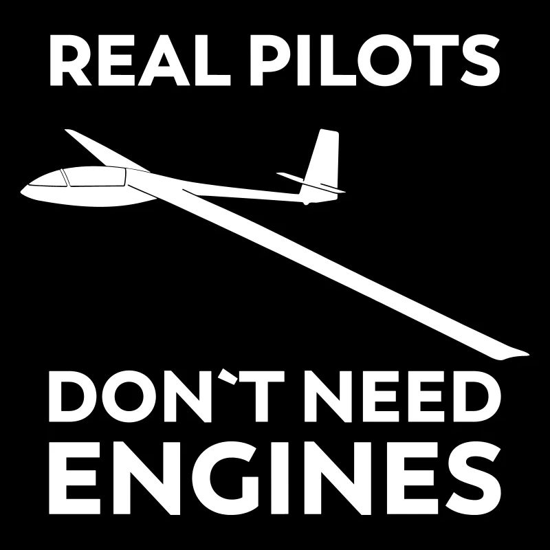 Real pilot glider funny gliding gliding