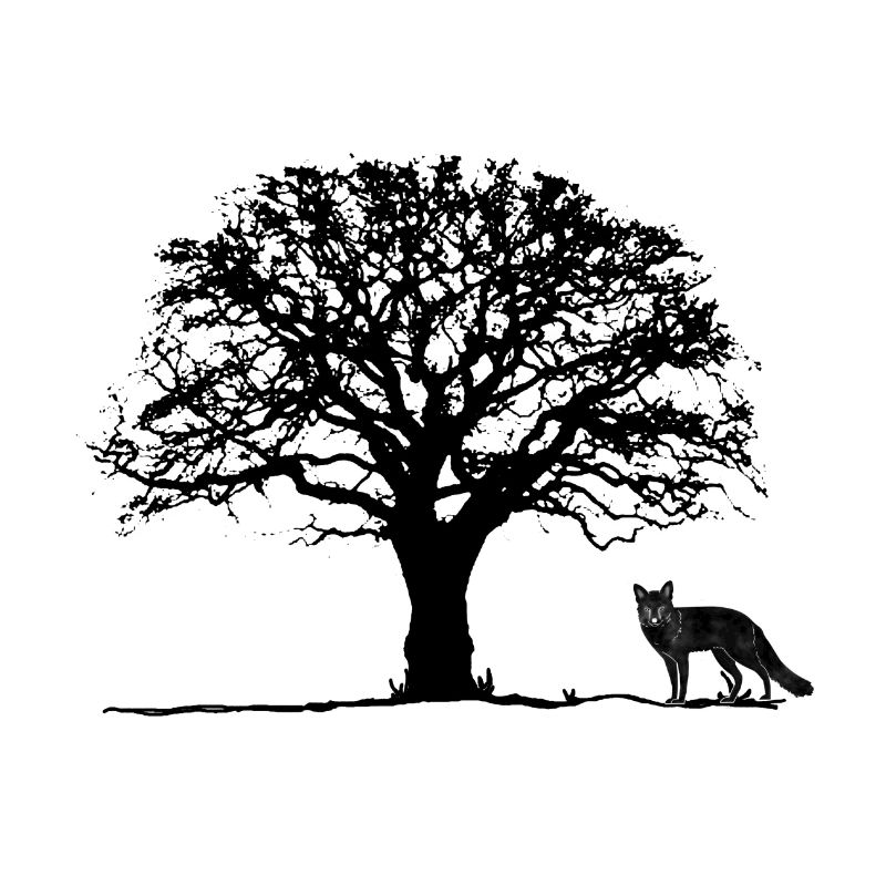 Tree, Fox