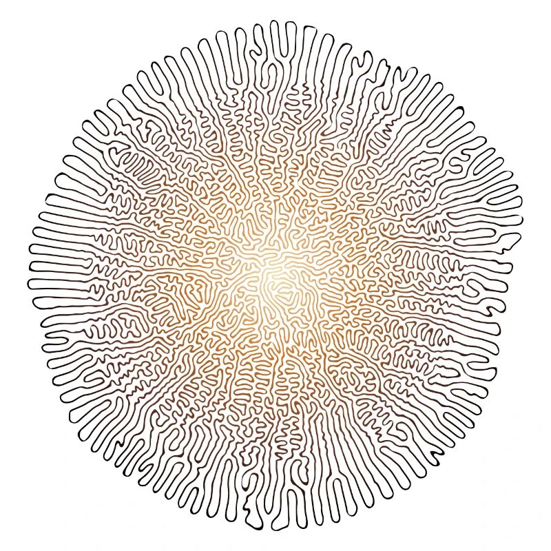 Mycélium de champignon (édition psychédélique)
