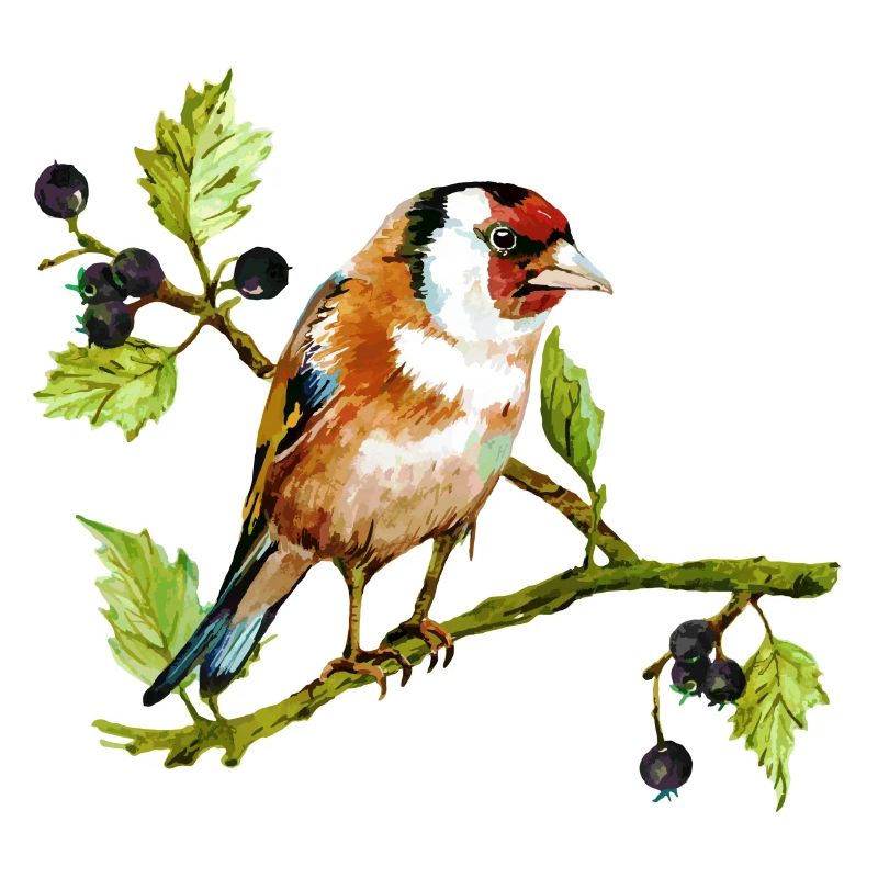 Vogel