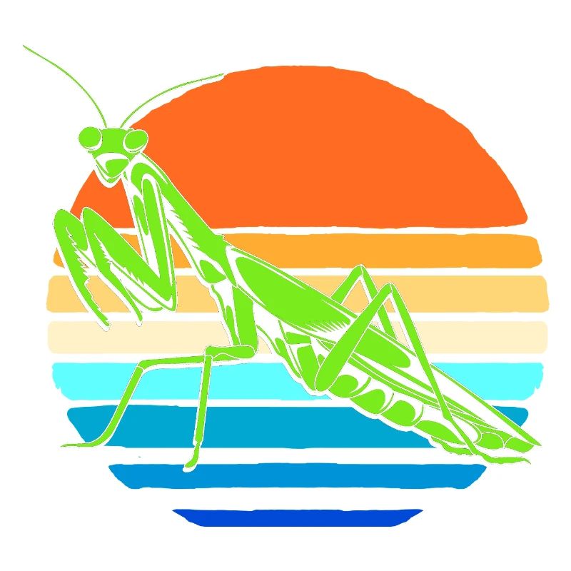 Gottesanbeter Gottesanbeterin Mantis