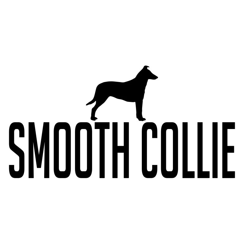 SMOOTH COLLIE Chiens Chien Wilsigns Cheveux courts Collie