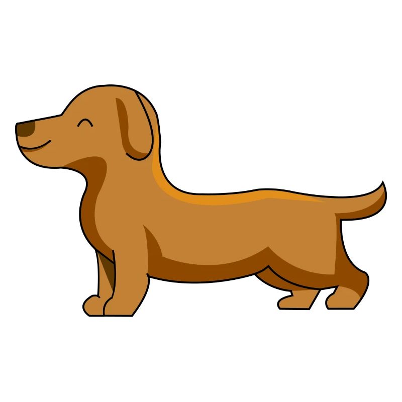 Teckel chien