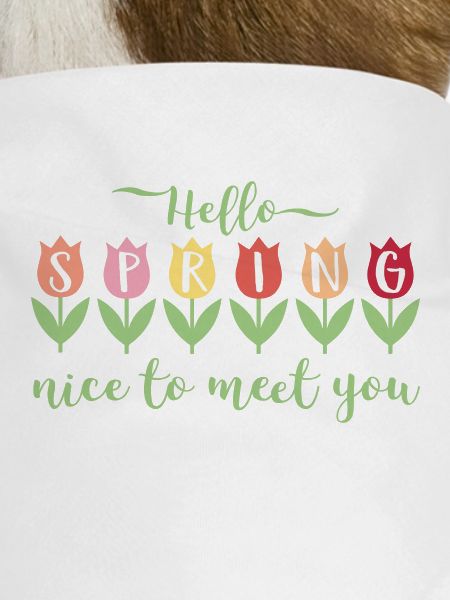 Hello Spring