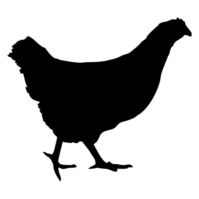 Running chicken hen