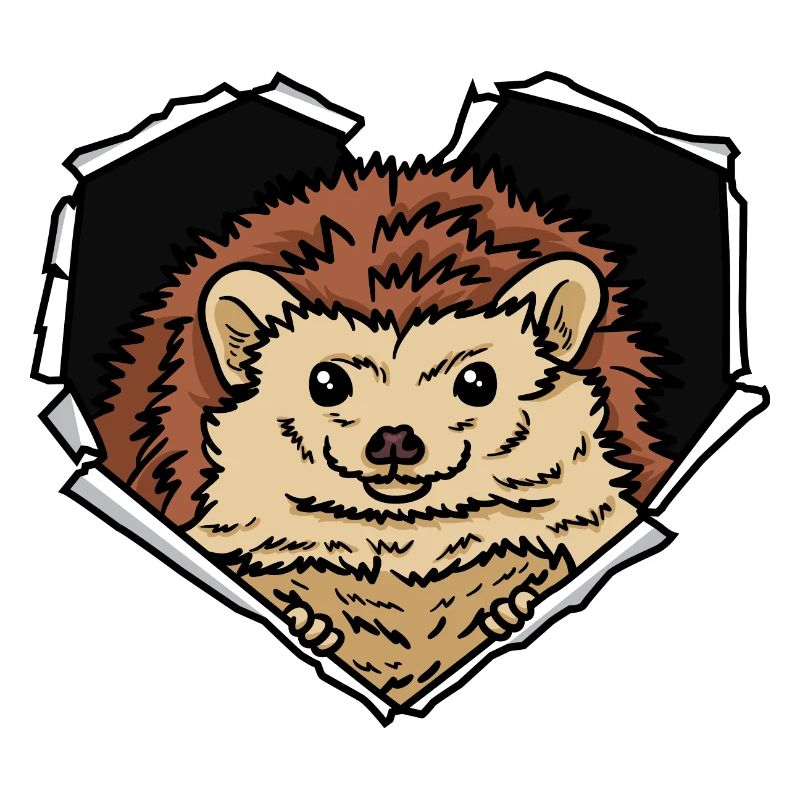 Crack Hedgehog Torn Hole Hedgehog Face