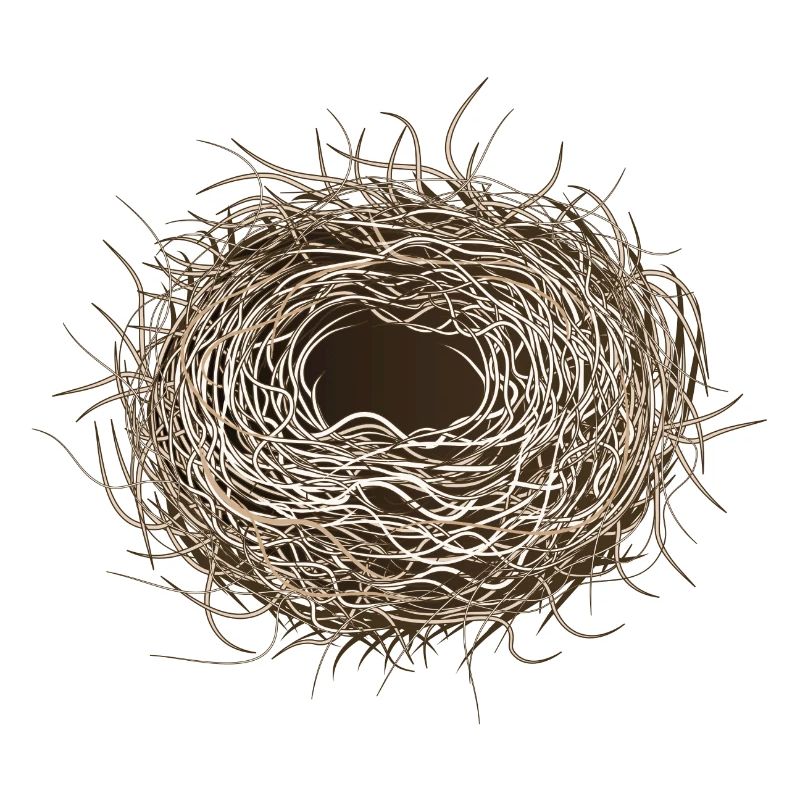 leeres Vogelnest oder Osternest zum Frühling