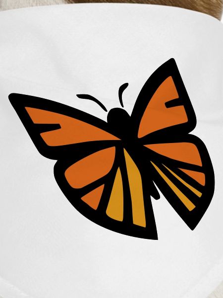 Butterfly monarch