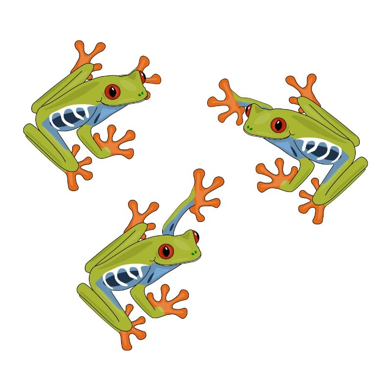 Frog roach tree frog frogs