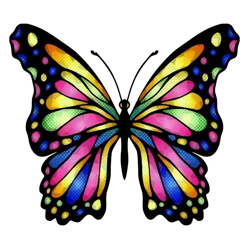 Papillon