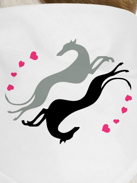 Greyhounds tumble