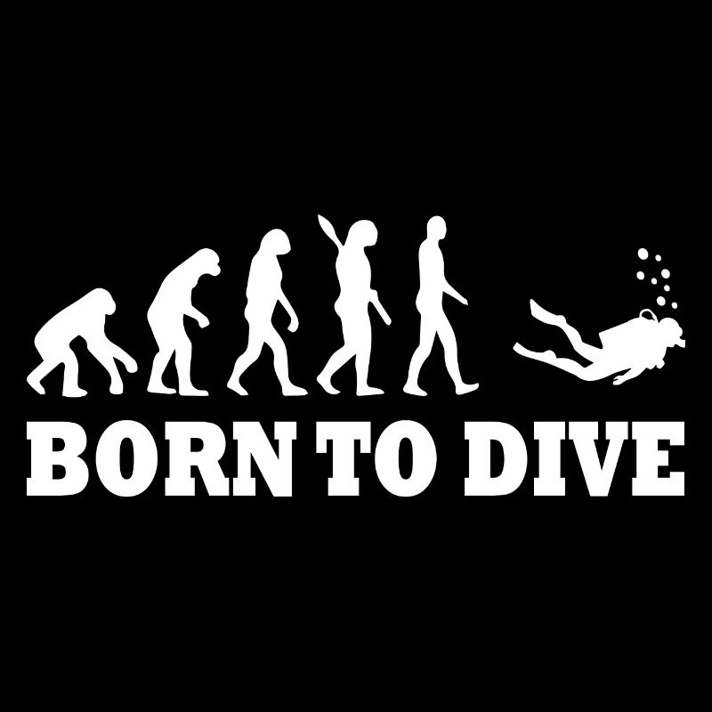 Diving Dive Dive