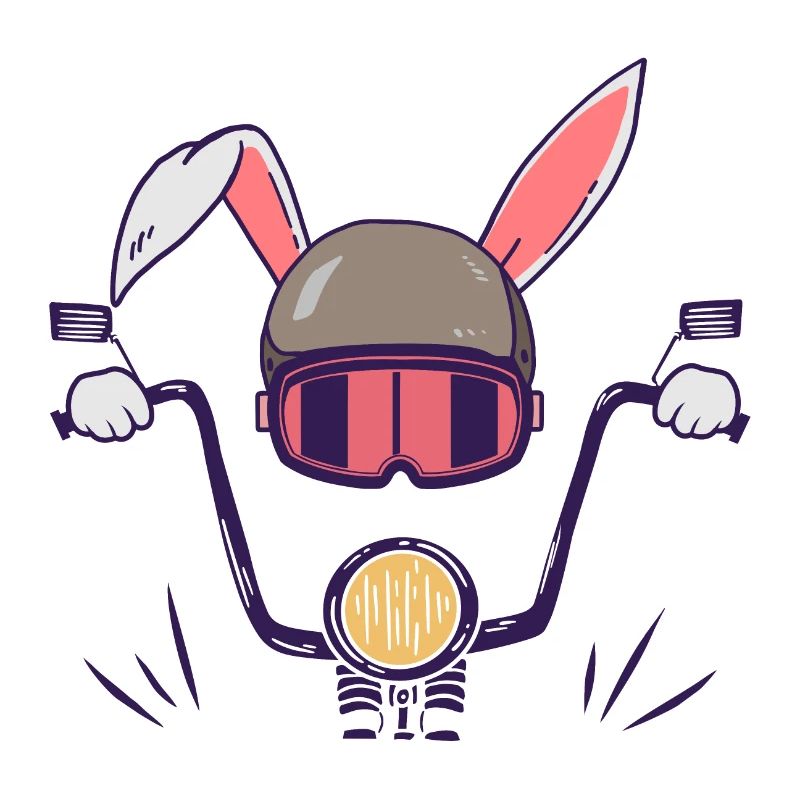 Rabbit biker motorcyclist