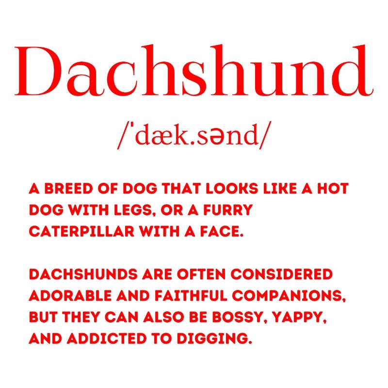 Dackel Definition