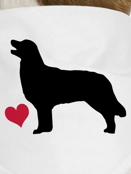 Retriever