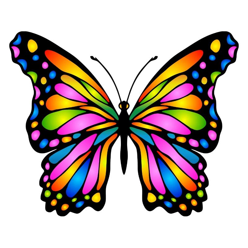 Papillon