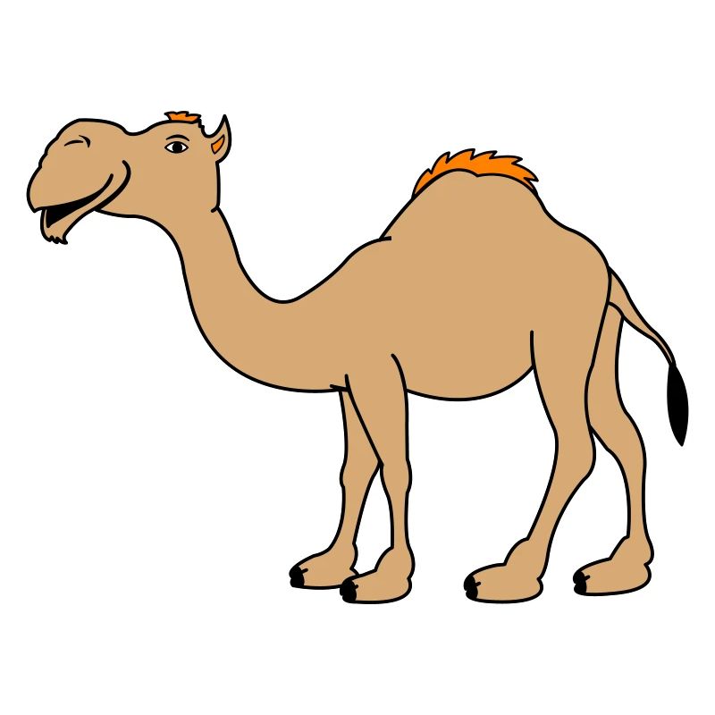Camel