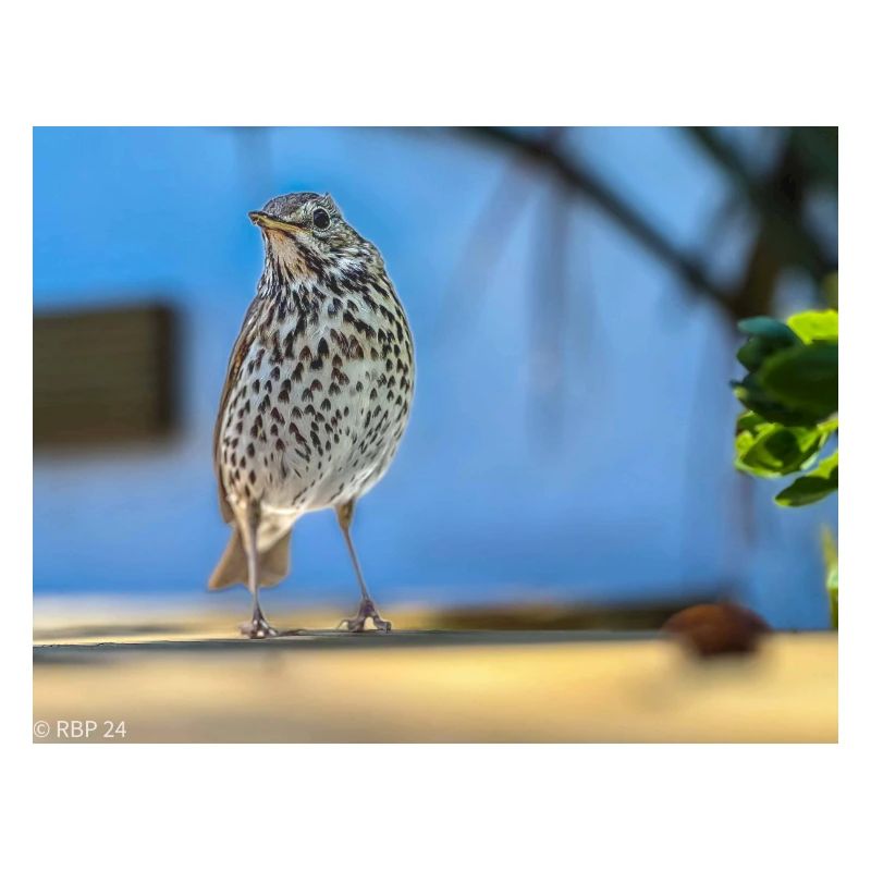 3C6DAC94 2483 48C8 B3C0 C91D9BD6FBB1