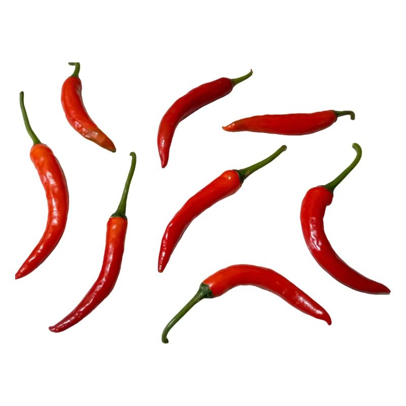 Fresh red chilies arranged on a light surface.