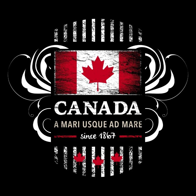 Flag Flag Canada Canada Maple leaf 2