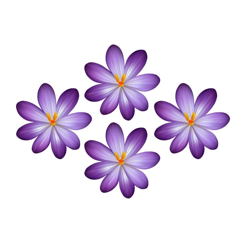 Fleurs, t-shirts de fleur, sweats à capuche de fleur, fleur