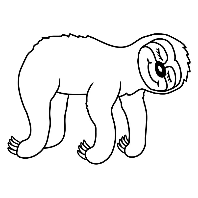 Hanging lying tired sloth
