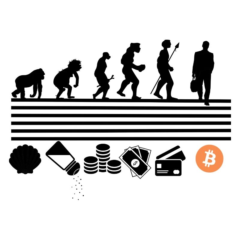 évolution bitcoin