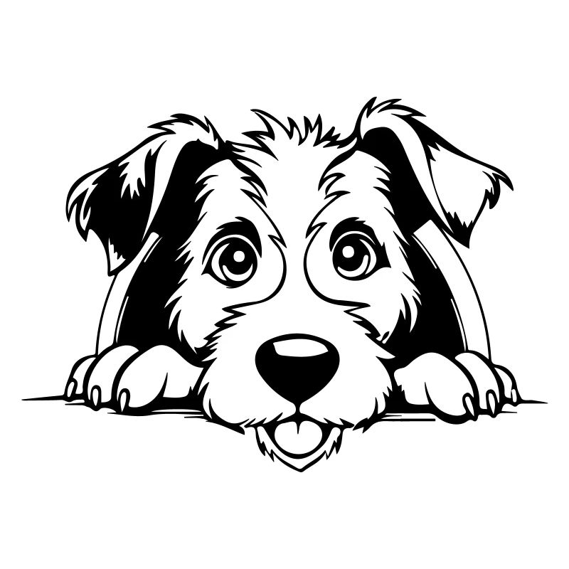 Fox Terrier