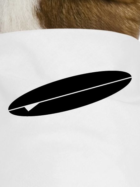 surfboard