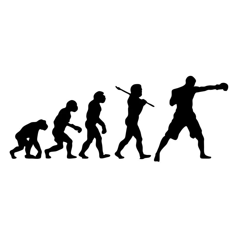 Boxing Evolution
