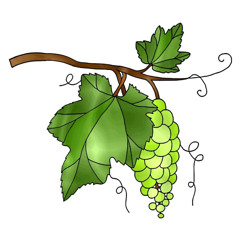 Les raisins