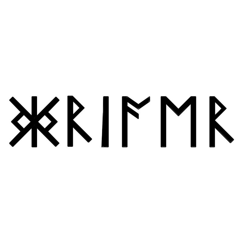 Warrior Runes Scripture Germanique Celtes Viking
