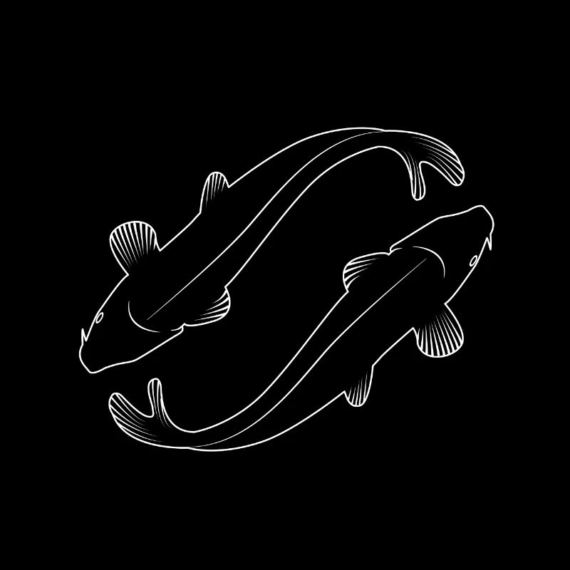 Koi carp for dark surface