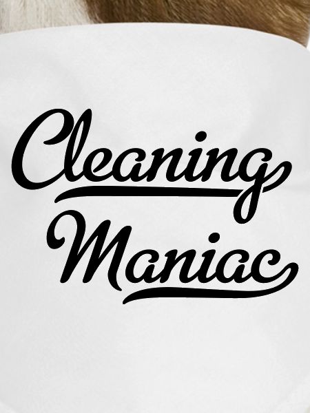 Cleaning devil
