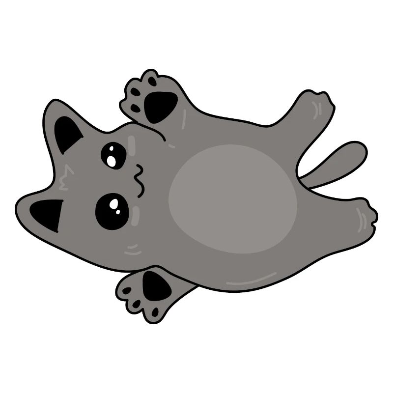 mignon bébé chat gris