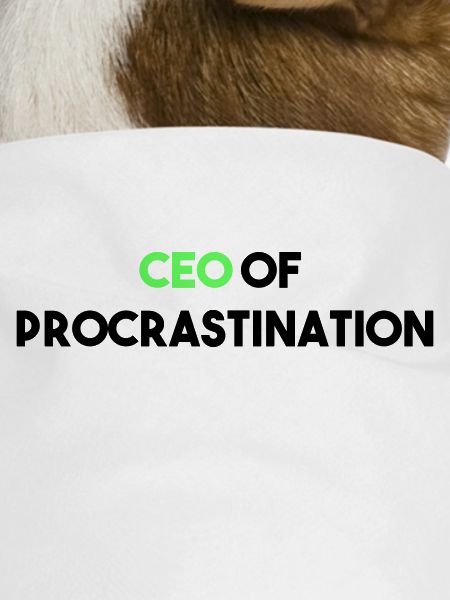 CEO OF PROCRASTINATION