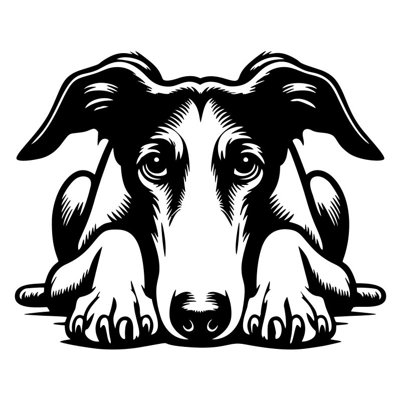 Galgo Head with Paws