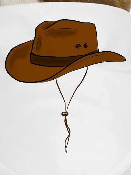Cowboyhut Western