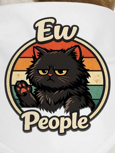 Grumpy retro cat in sunset