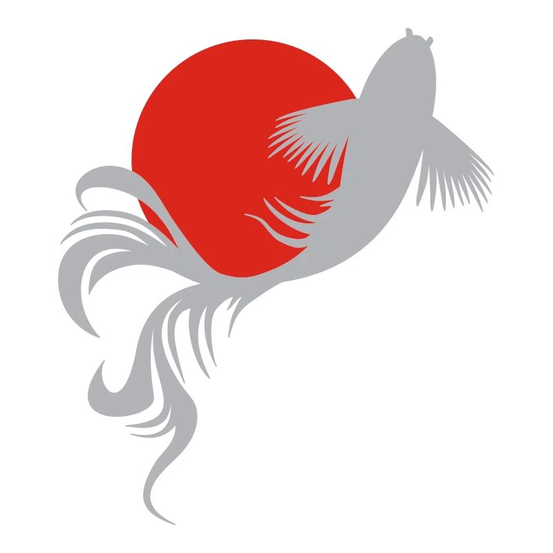 Roi der Koi-Karpfen