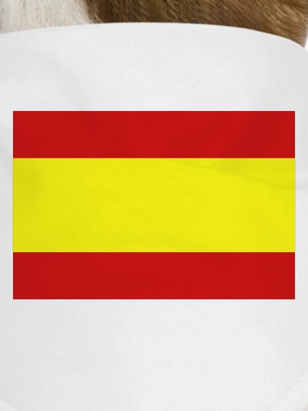 spain flag
