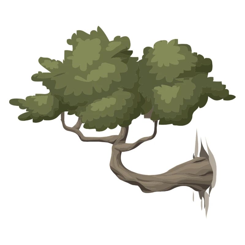arbre