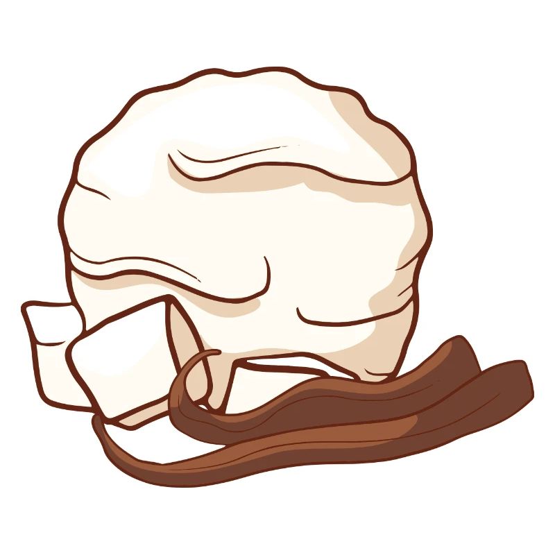 Vanille Eis Speiseeis Eiskrem Eiscreme Kugeleis