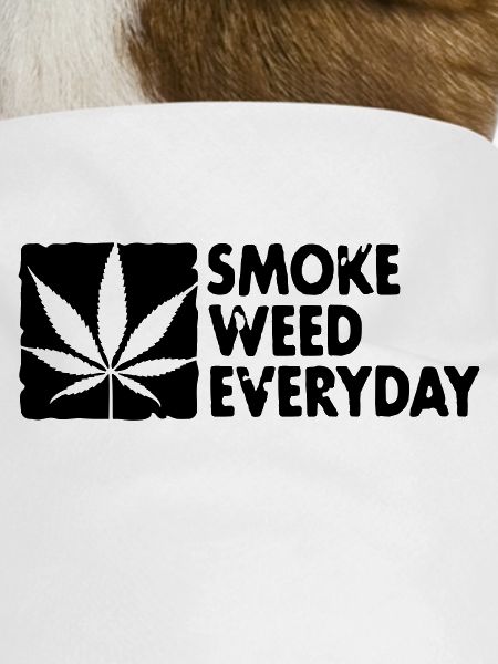 smoke weed everyday boxed