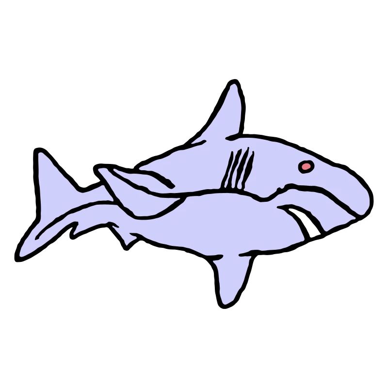 Poisson Requin Prédateur Eau Graffiti Océan