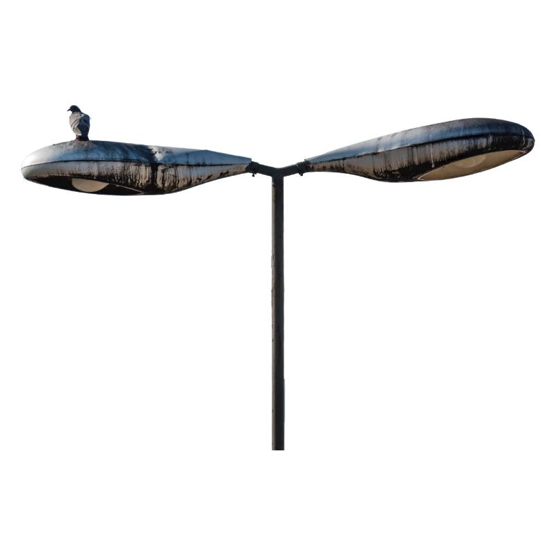 A single deaf on an old lamppost