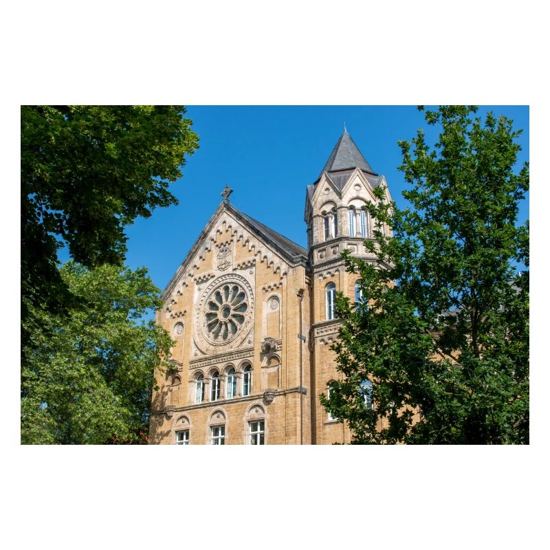 edificio storico scuola secondaria Ratsgymnasium