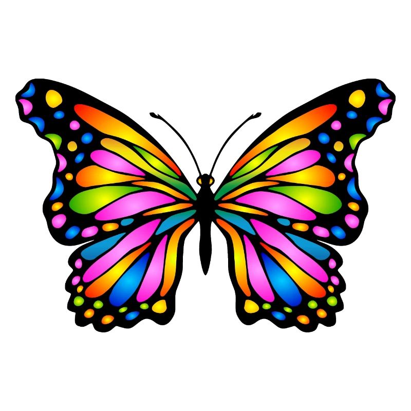 Papillon