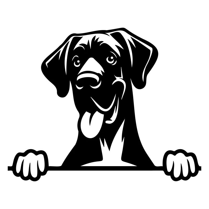 Great Dane